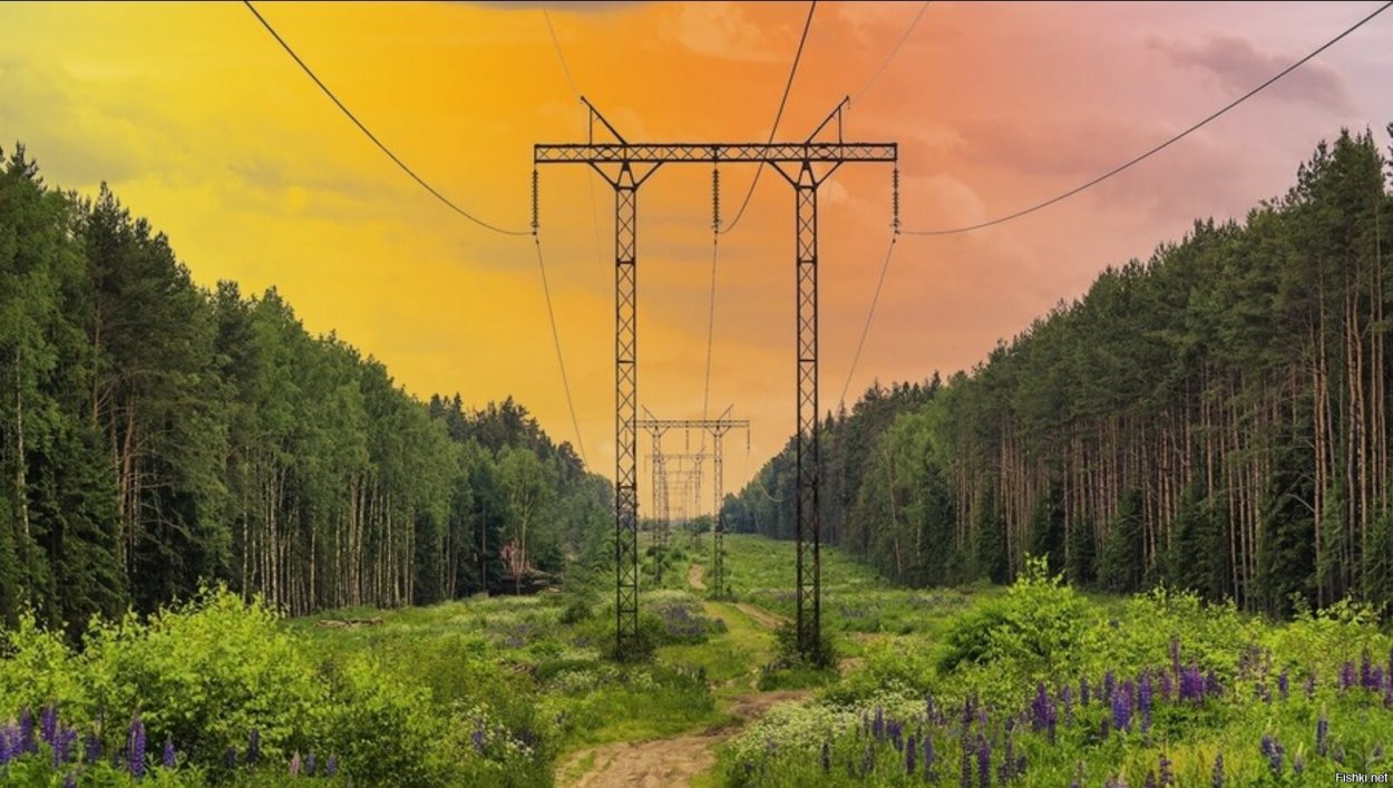 Линий электропередач в лесу