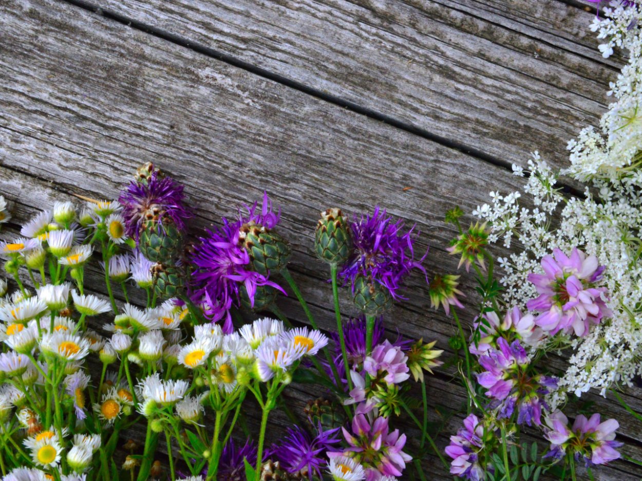 Букет полевых цветов