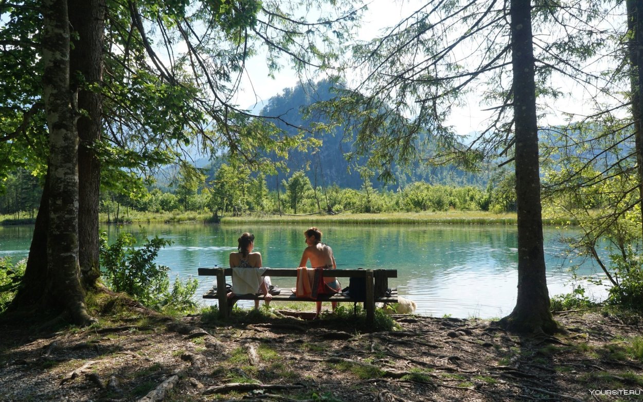 Отдых в лесу