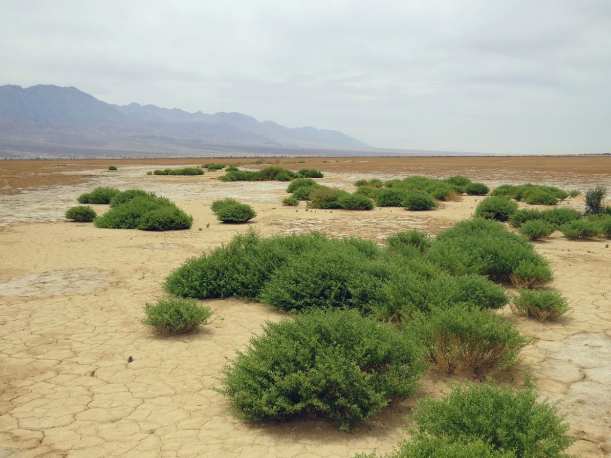 Обои на ноутбук черные