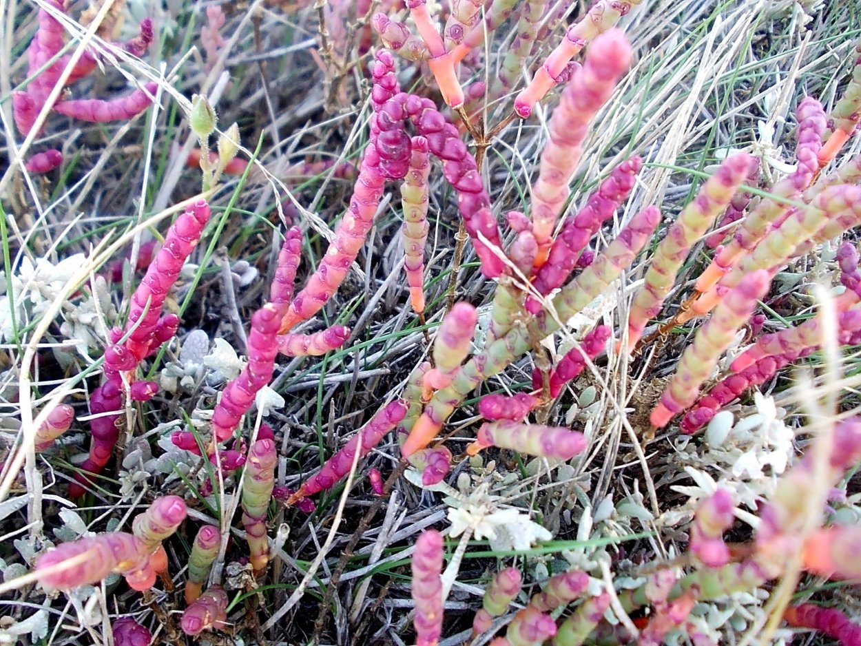 Пустая аватарка