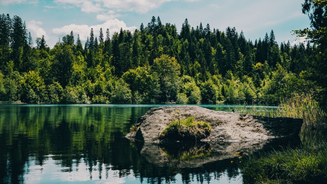 Река озеро лес ресторан Якутск