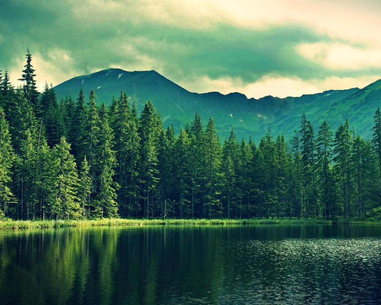 Отражение природы в воде