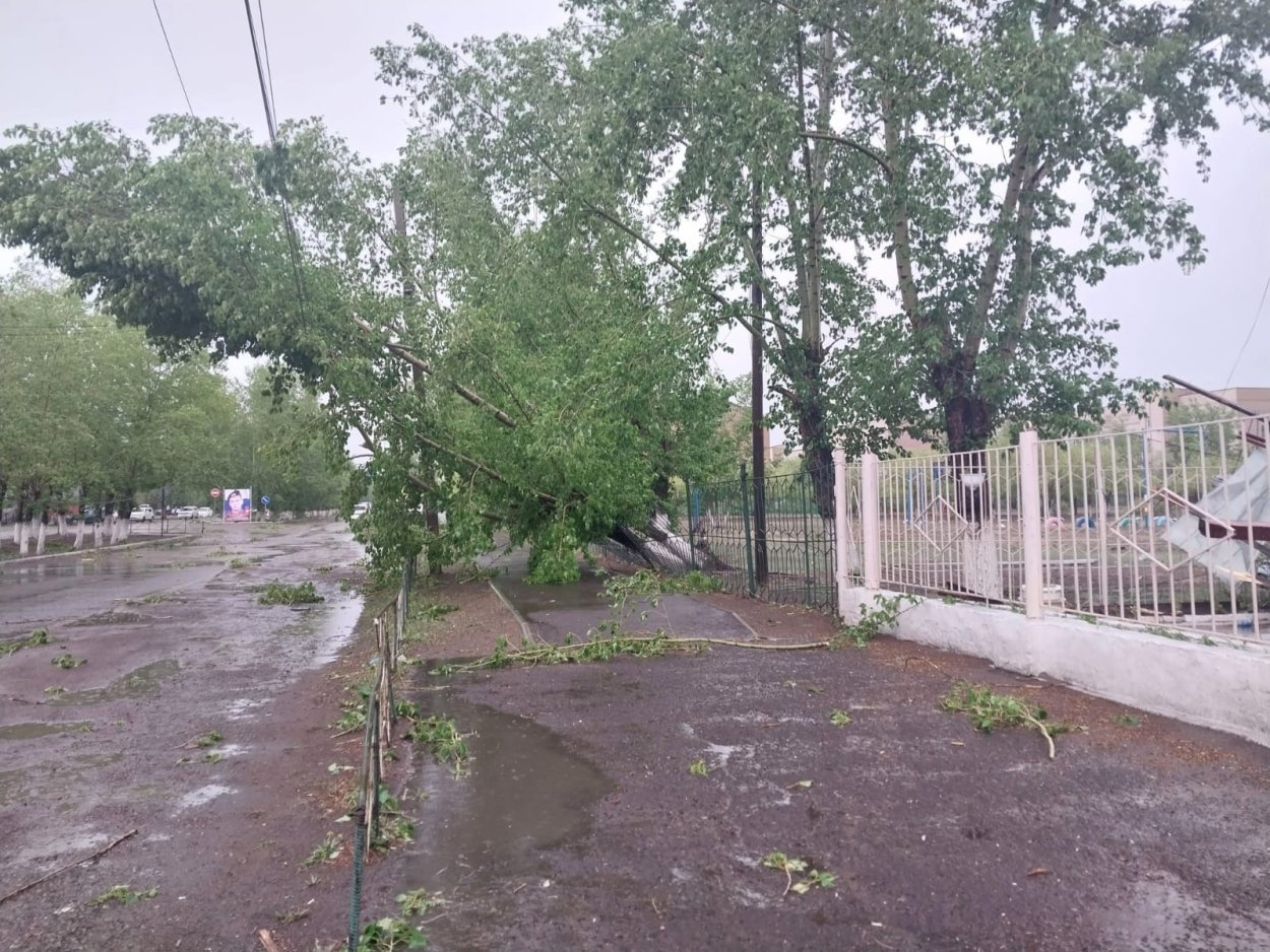 Чёрный Тополь Сарапул