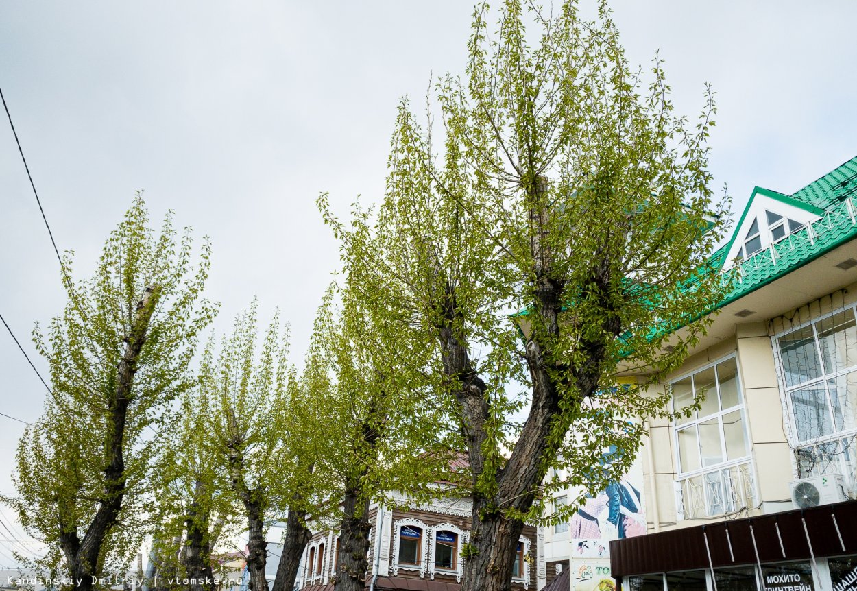 Геологическая карта Приморского края