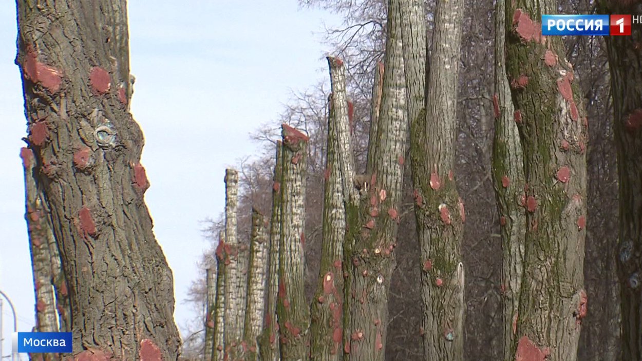 МБР РТ-2пм2 Тополь-м