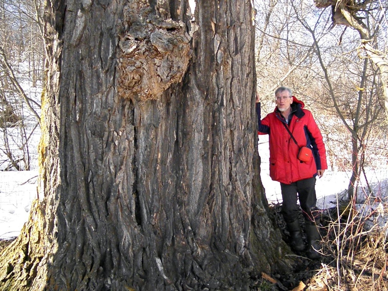 РС-24 Ярс радиус поражения