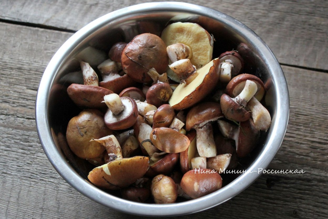 Маслята грибы маленькие