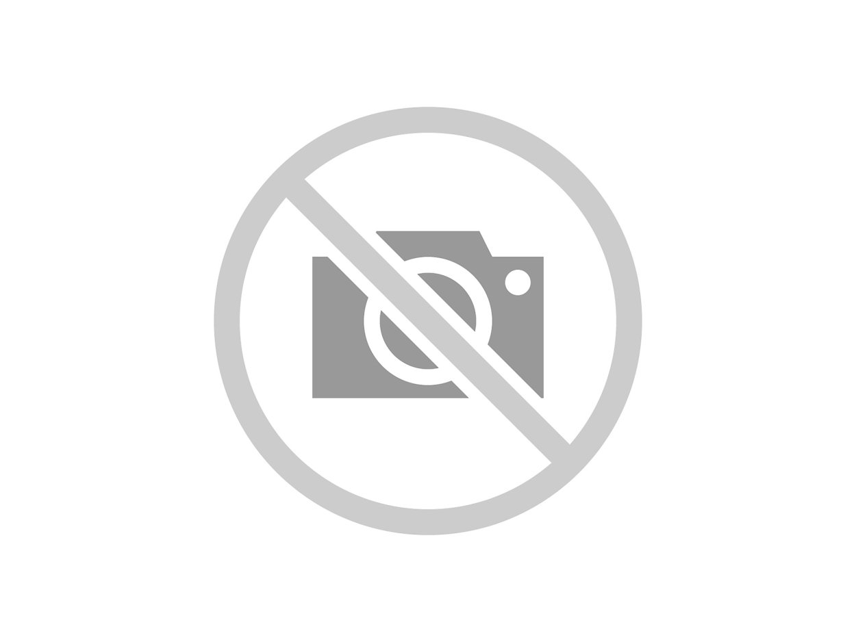 Традесканция spathacea