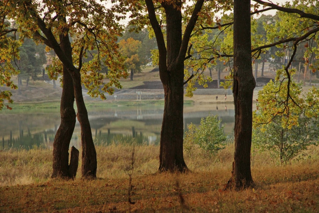 Дубовая роща Дзержинск