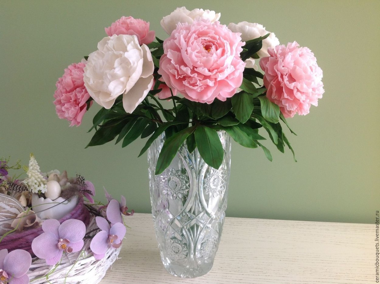 Пион нежно-розовый