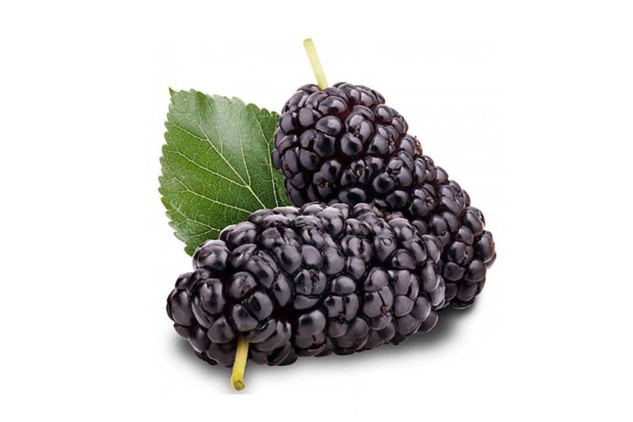 Ежевика ожина лист