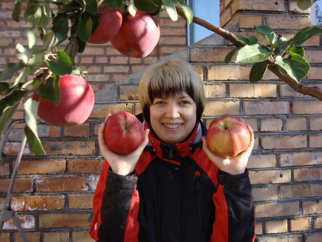 Алматинский Апорт яблоки вес