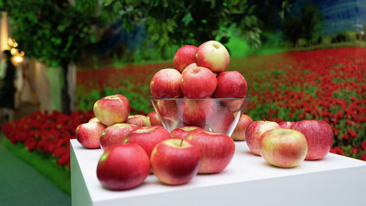 Яблоня боровинка