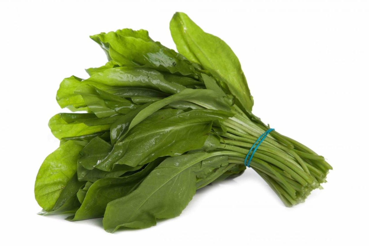 Щавель Бельвийский