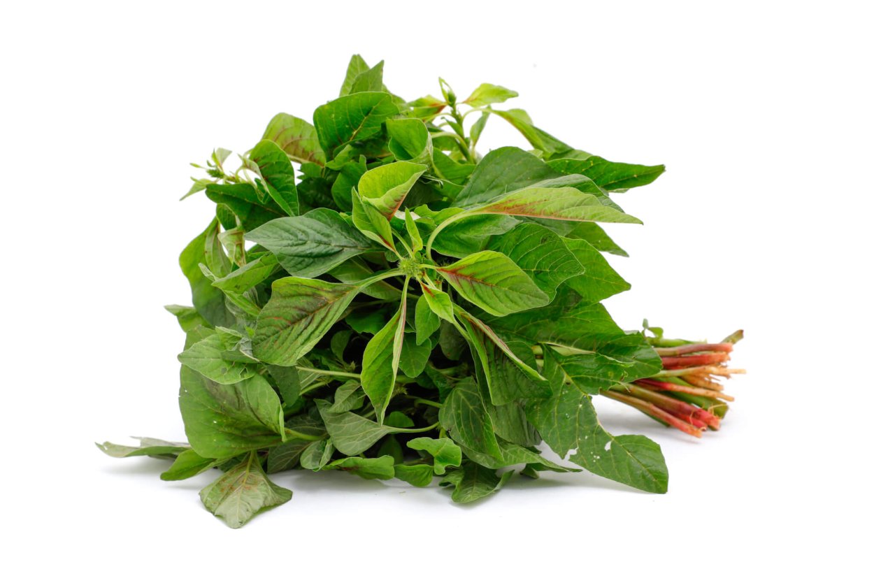 Шпинат Корвер f1 (2 г) Семко