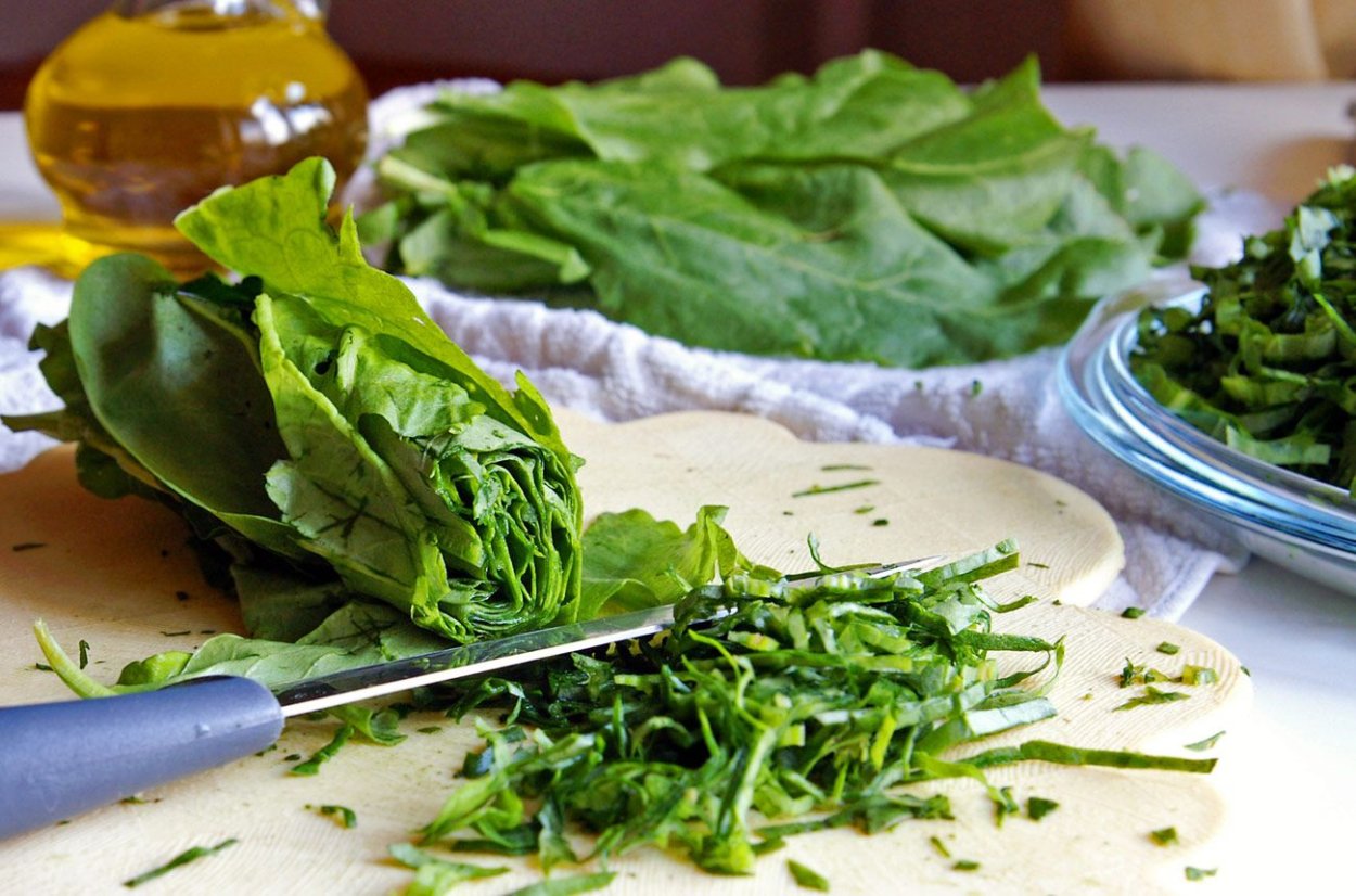 Щавель салатный