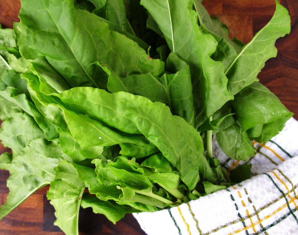 Шпинат- espinaca