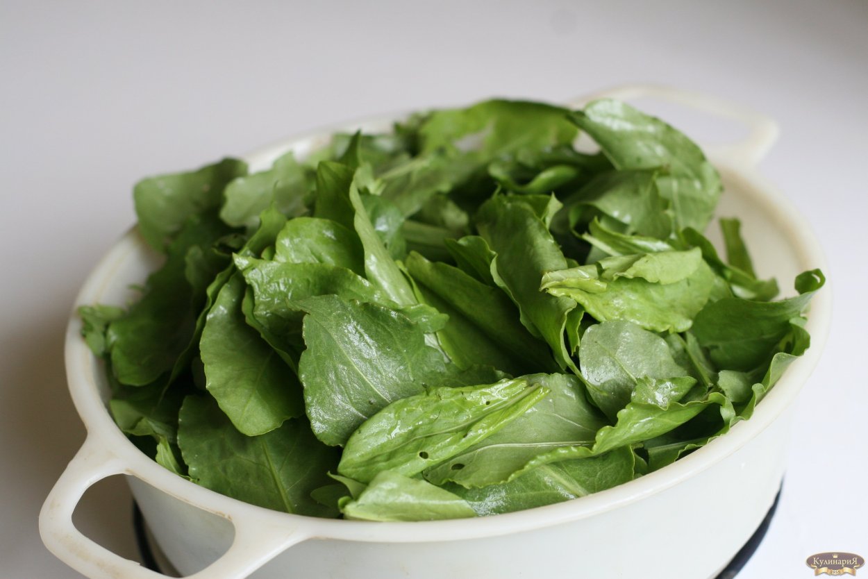 Щавель обыкновенный Rumex acetosa