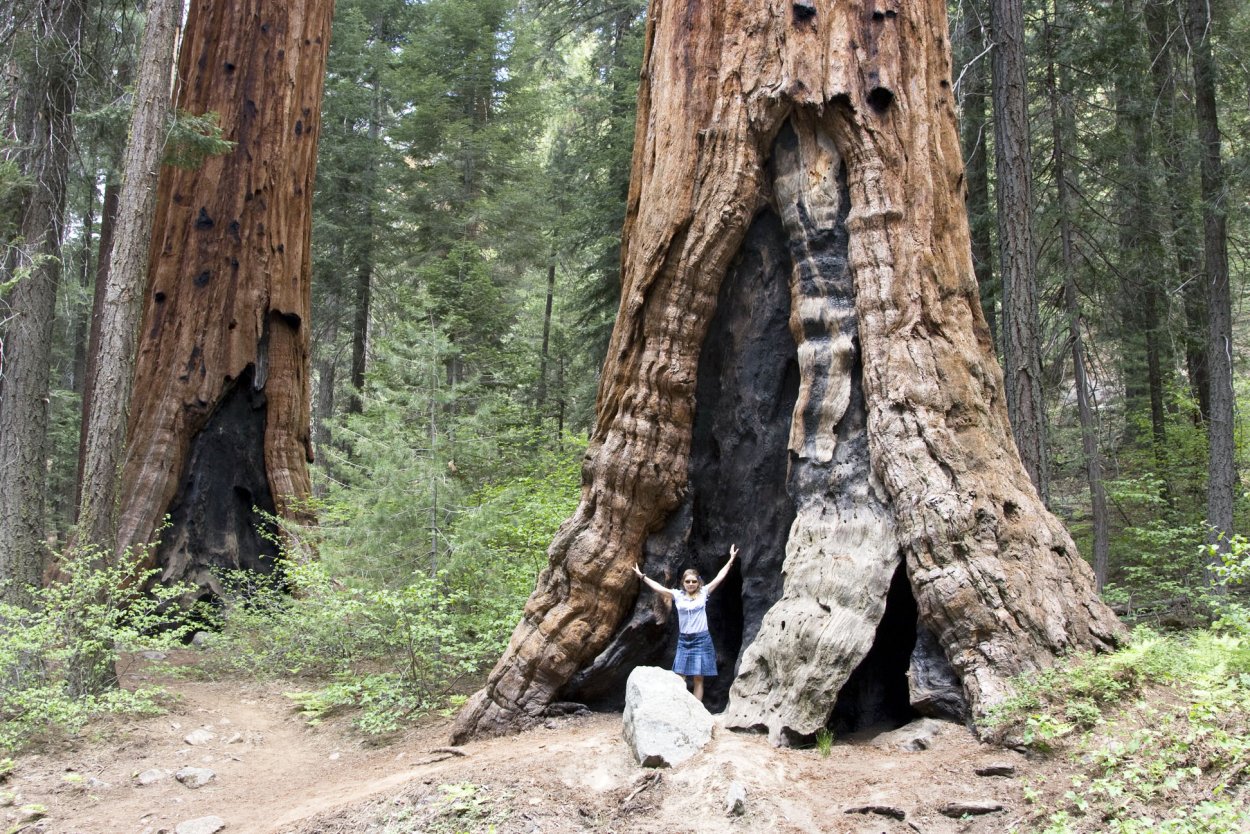 Национальный парк Секвойя альпинисты