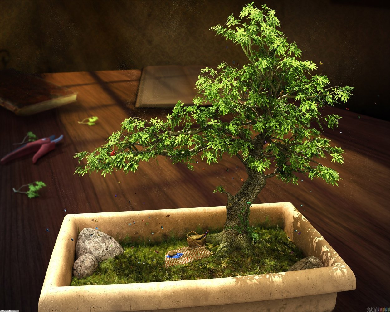 Бонсай тестудинарий