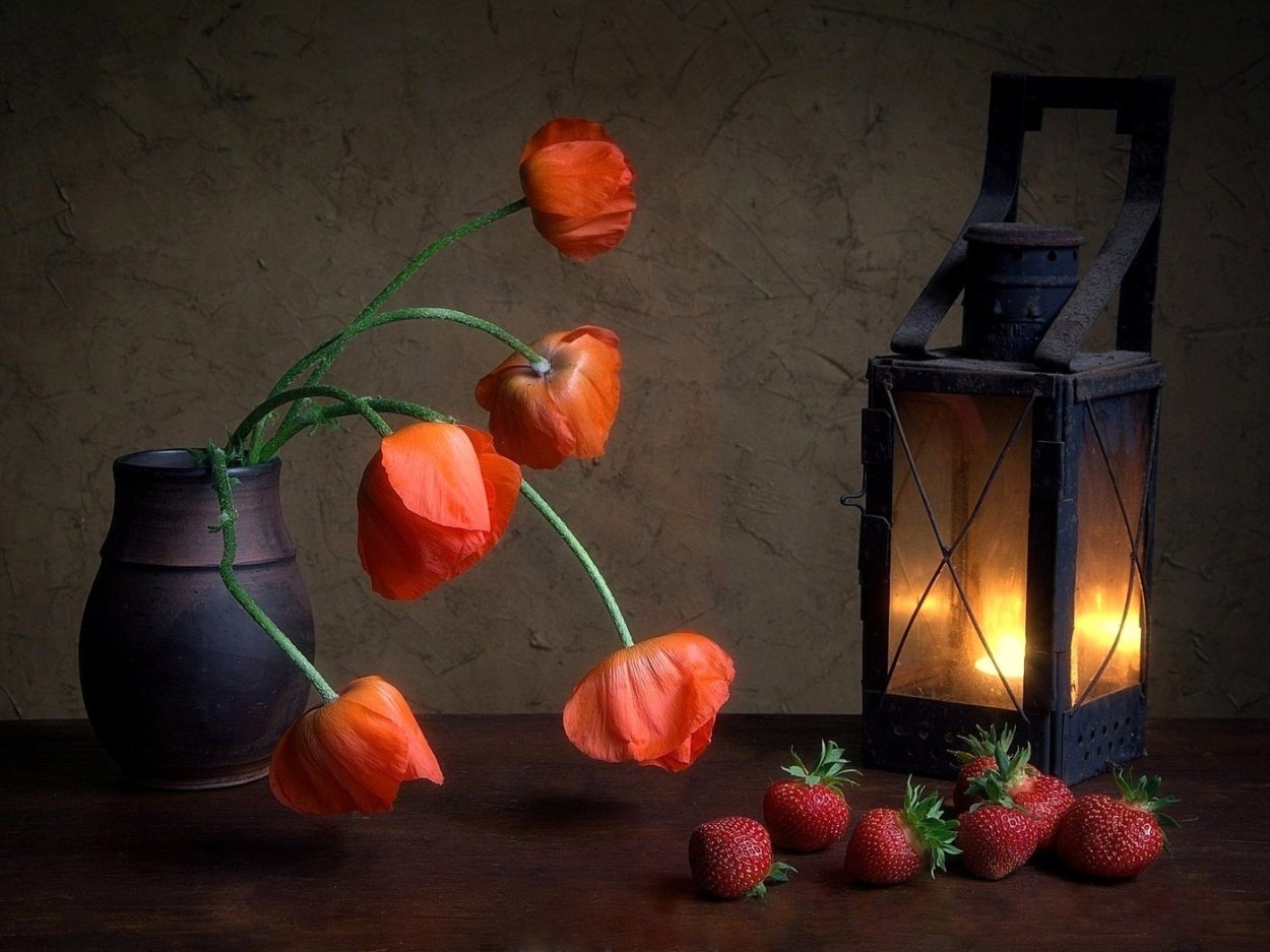 Chinese Lantern Plant