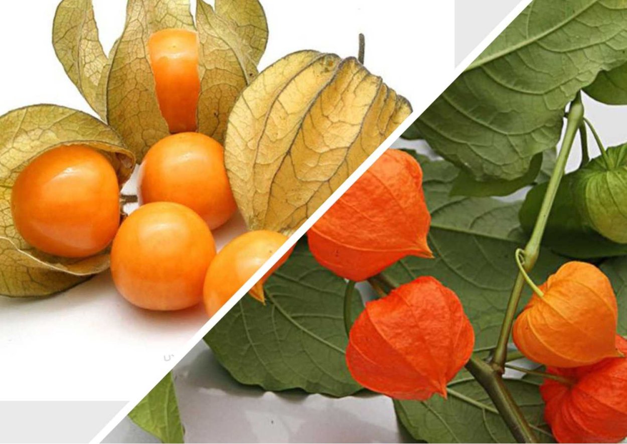 Черно белое и оранжевый