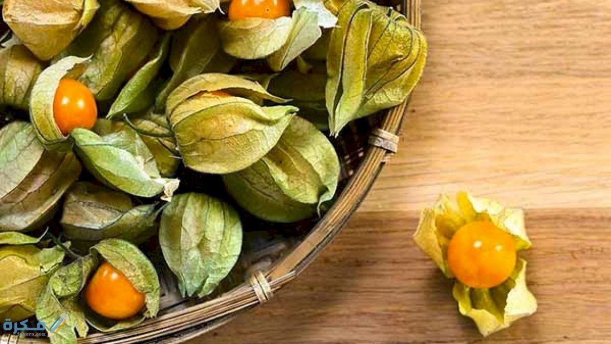 Физалис Таисия Ковалева