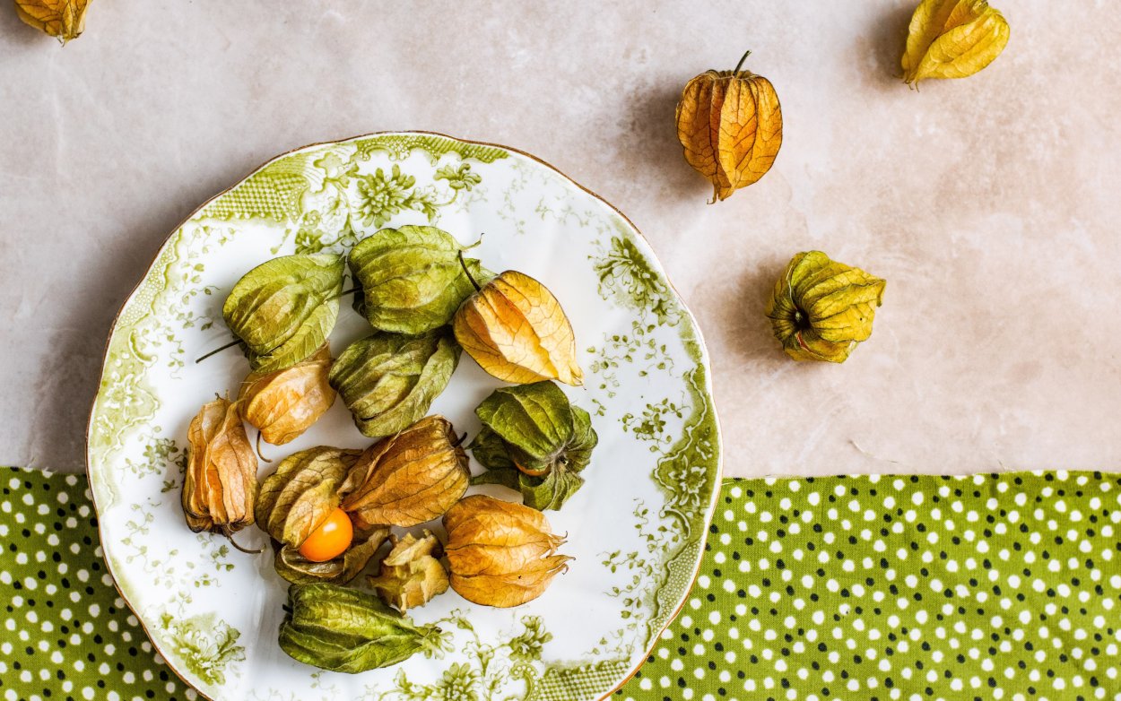 Ветка физалиса