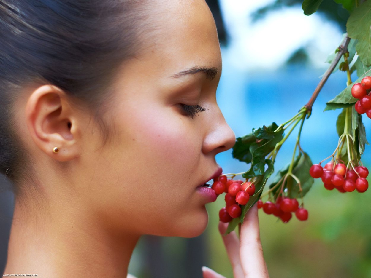 Река Березка рябина