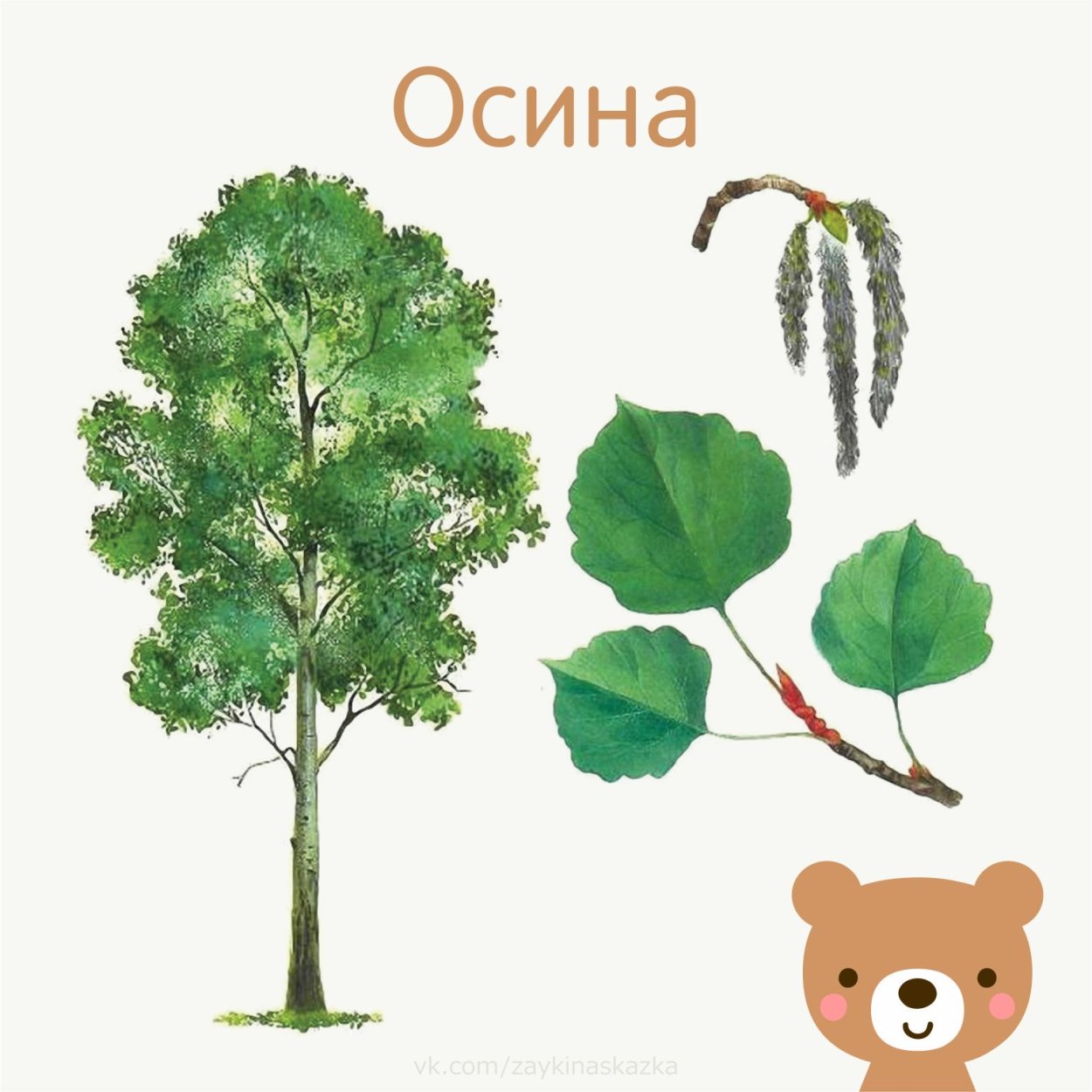 Деревенский дом