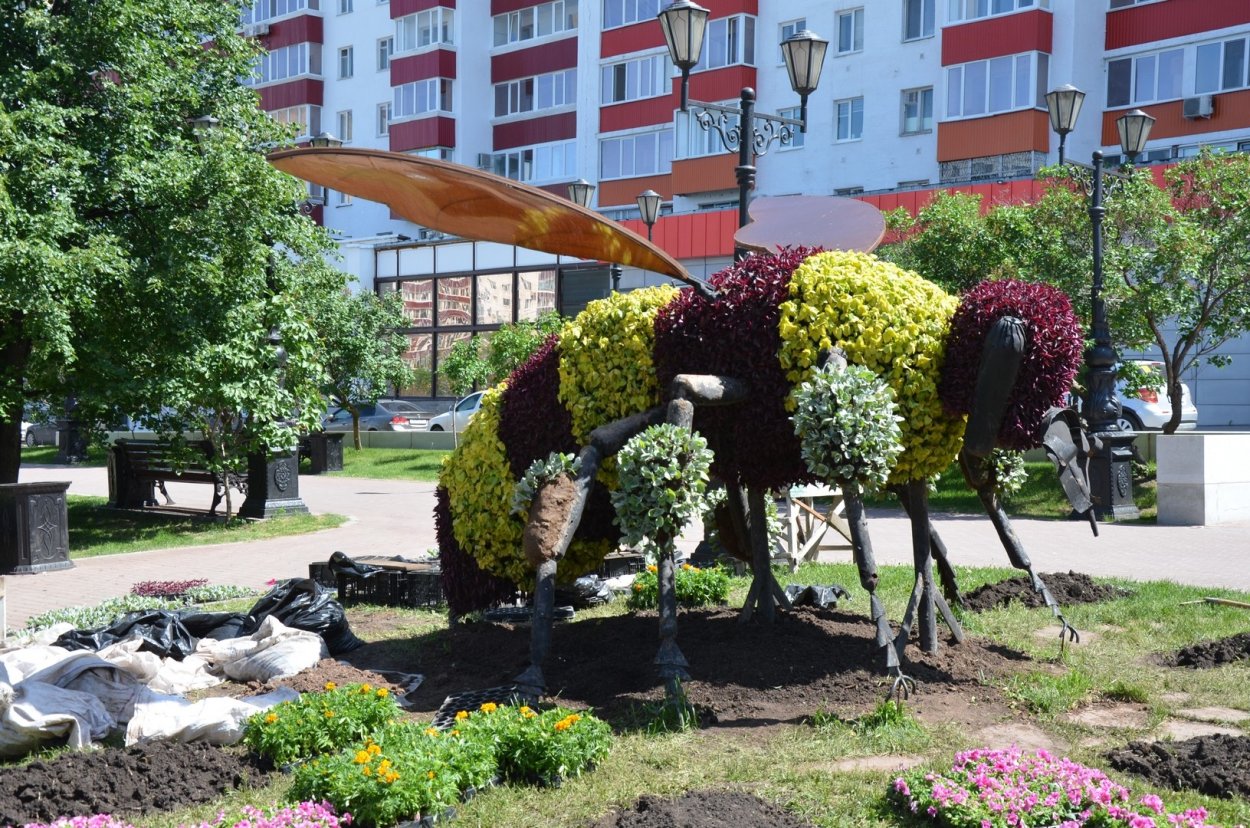 Клумба в виде цветка