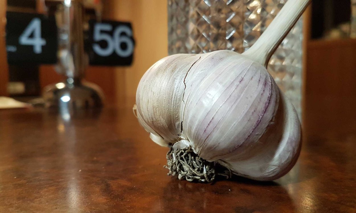 Лук-чеснок озимый Рокамболь