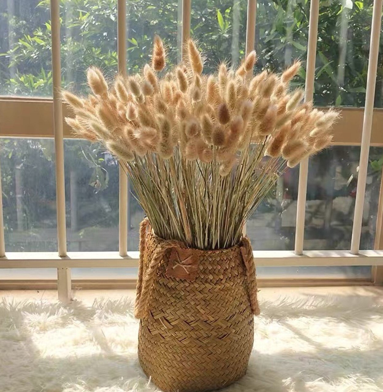 Сухоцветы для декора