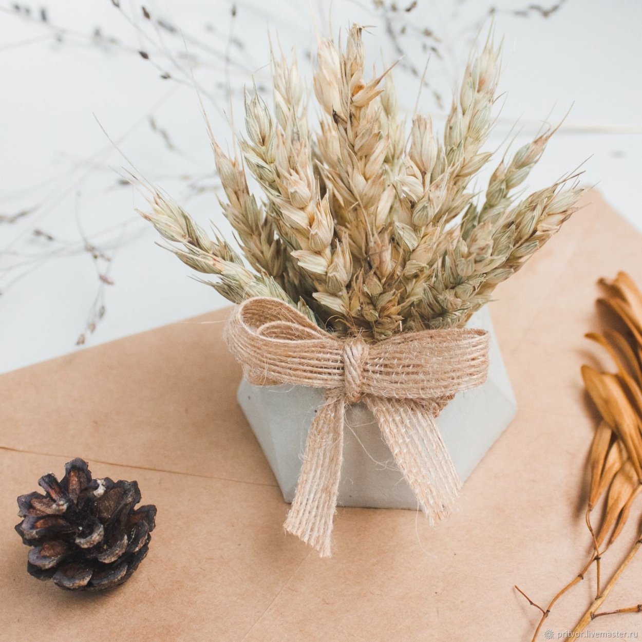 Тритикум cухоцвет