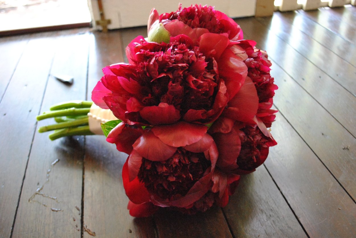 Пион букет перфекциониста