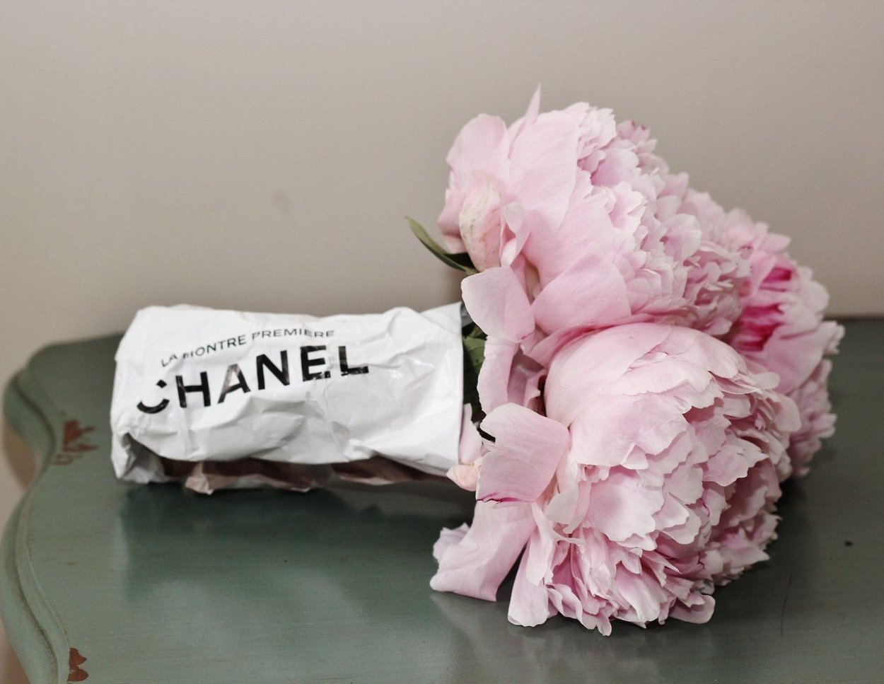 Пион один цветок красный