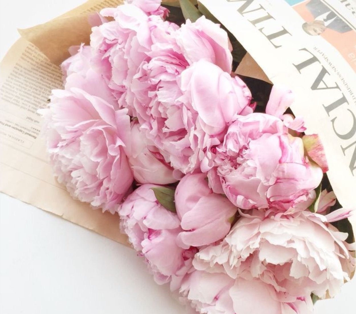 Пионы Эстетика