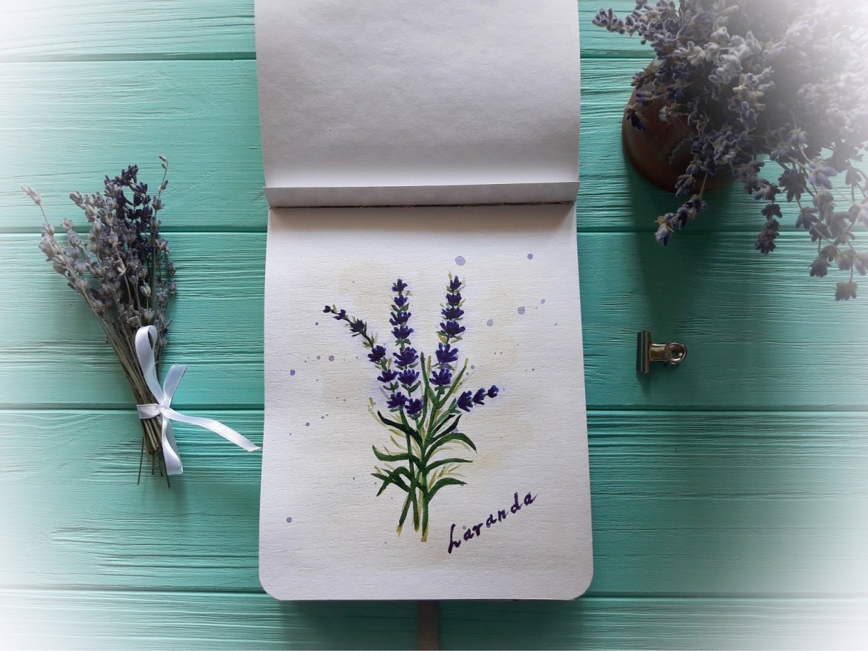 Сад Энтони пола в Провансе