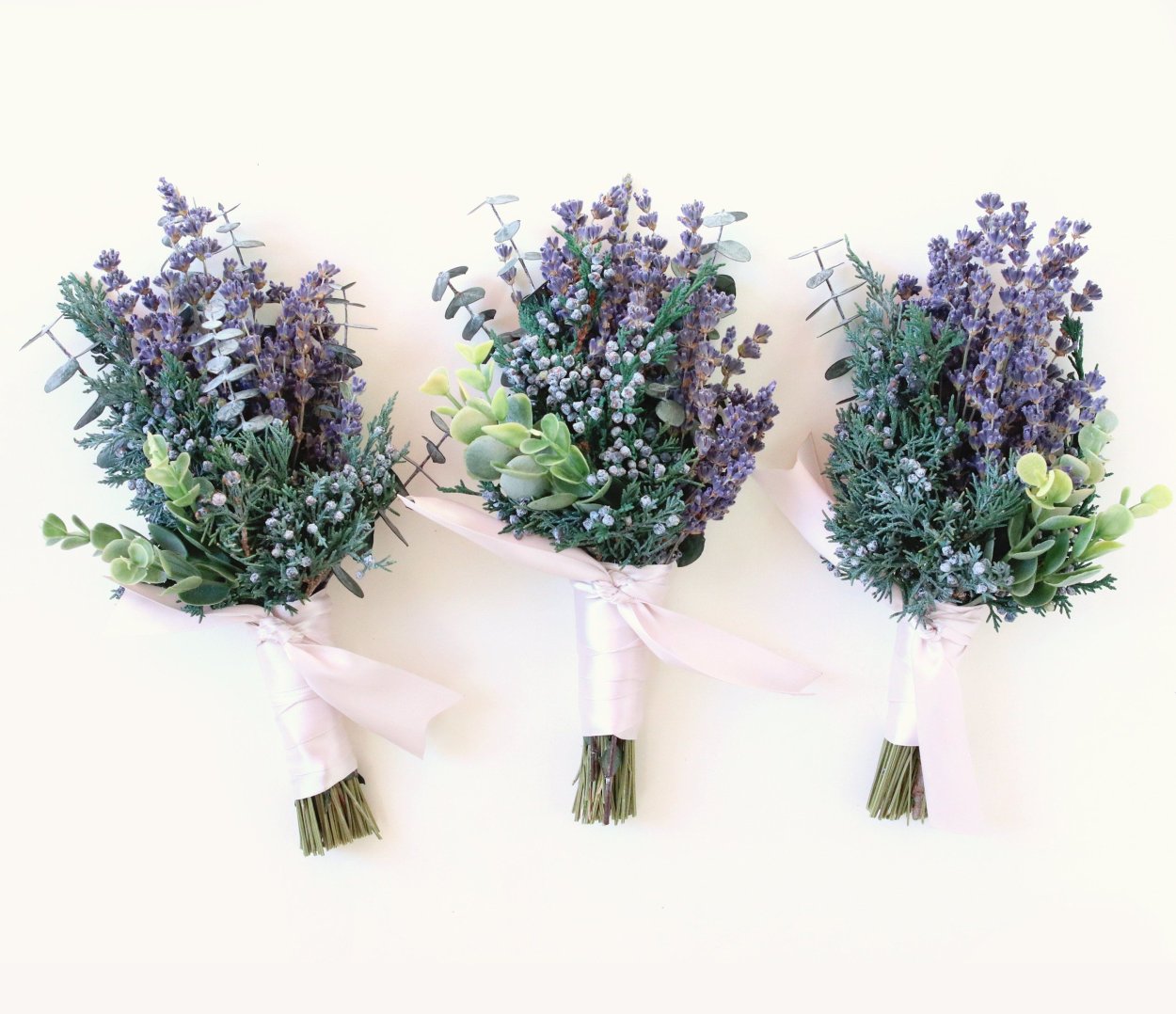 Шалфей Дубравный Viola Klose