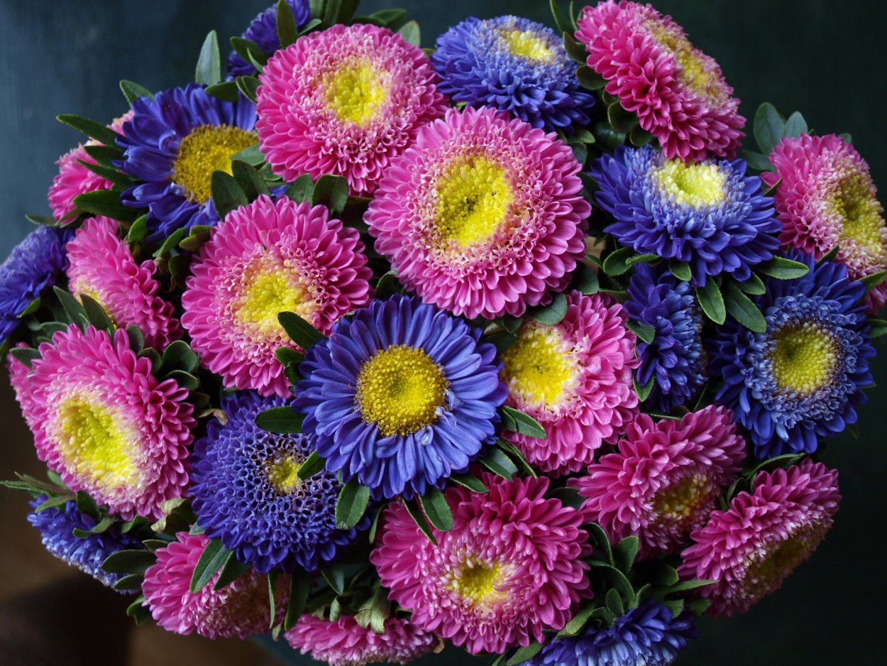 Букетик маргариток