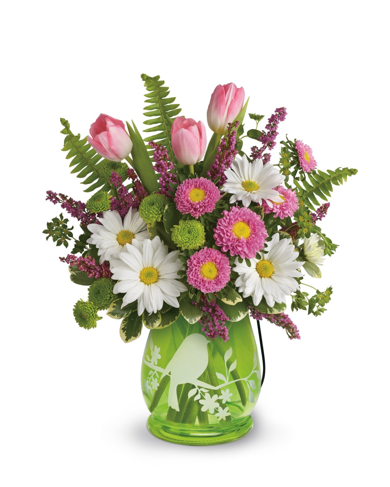 Маргаритка Botanical