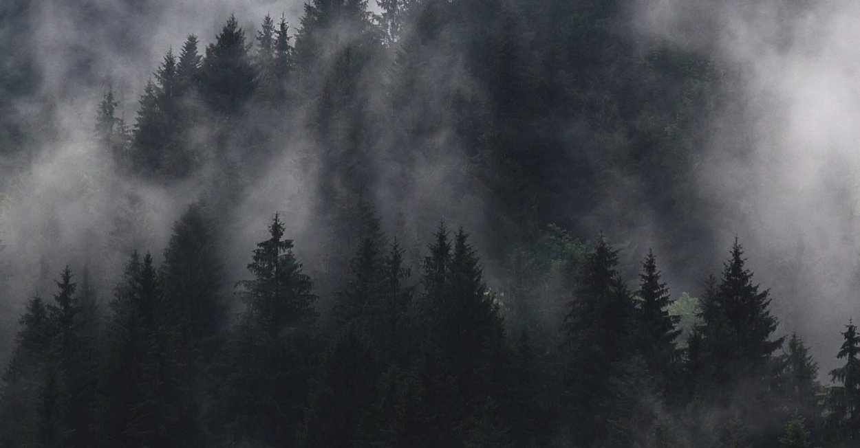 Мрачный лес шапка