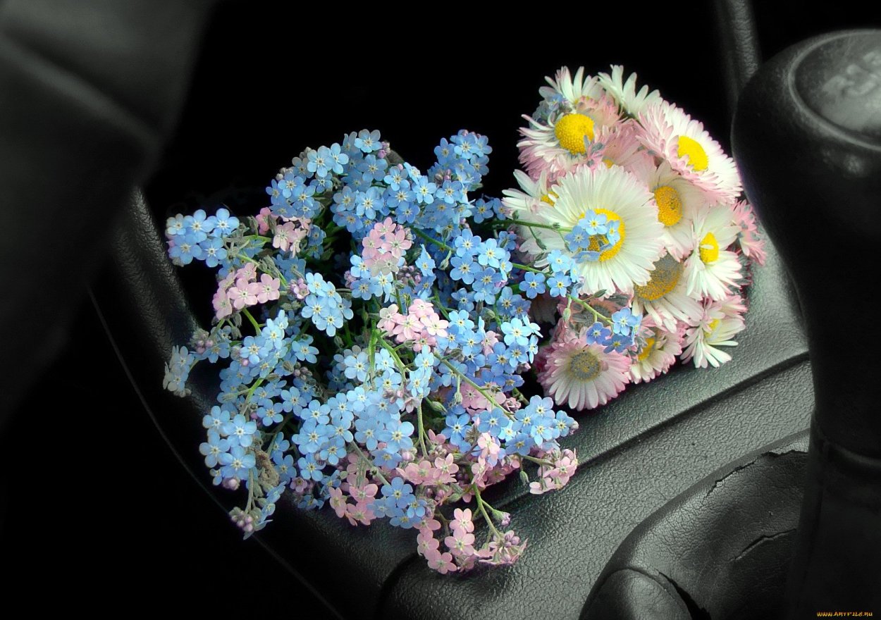 Композиция из хризантем в губке