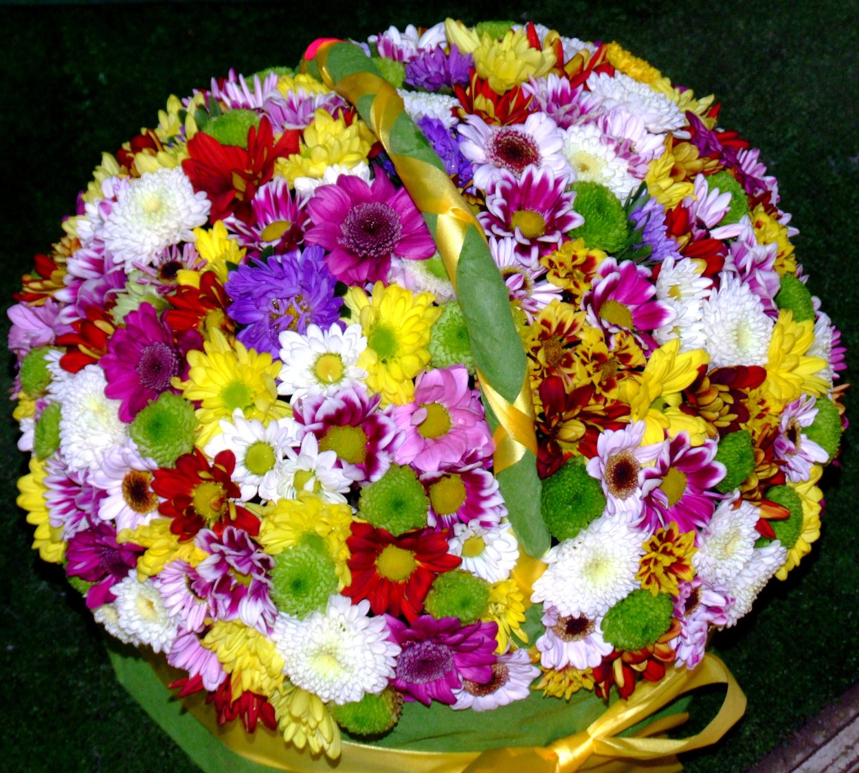 Подсолнух карандашом