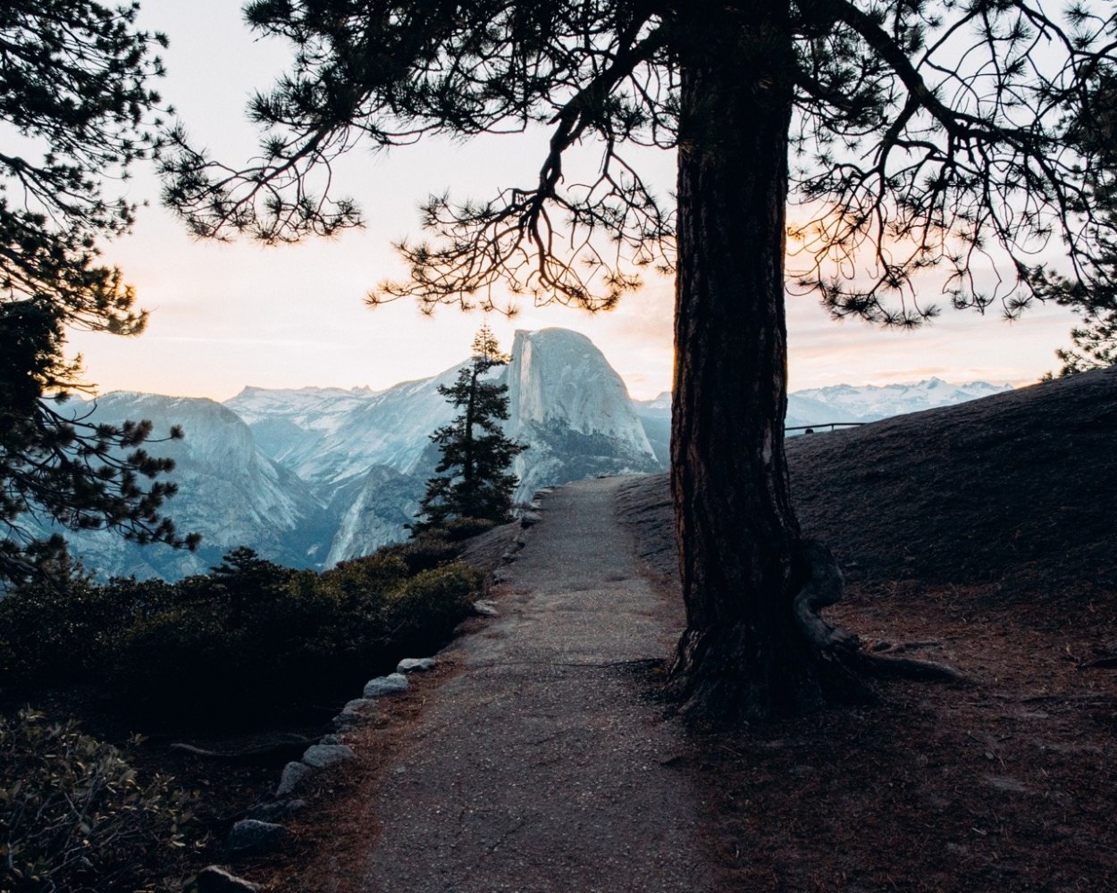 Природа Эстетика парк