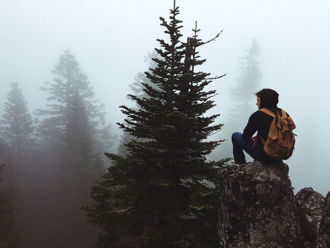 Один в лесу