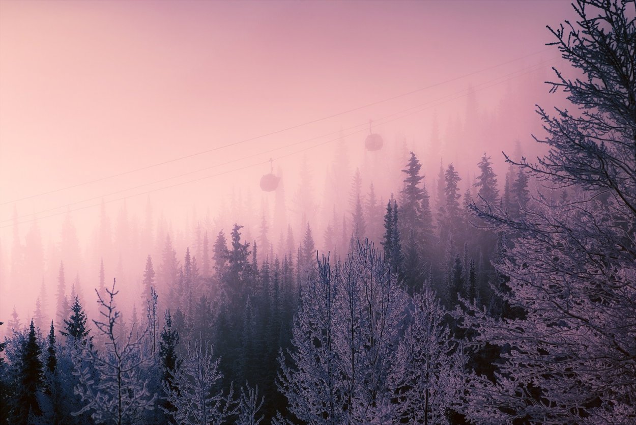 Эстетика зимней природы