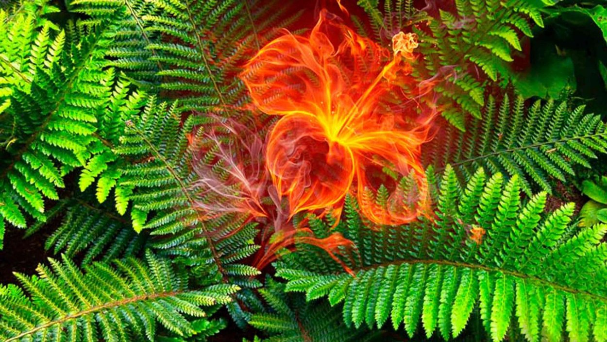 Свечи Торнадо