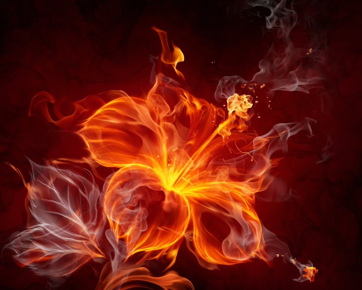 Трава Иван да Марья